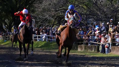 第11レース決勝「綾ダービー」