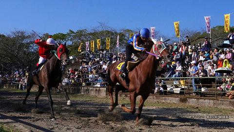 第11レース決勝「綾ダービー」