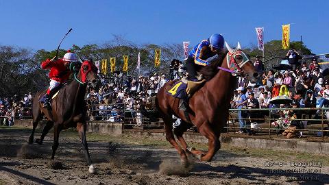 第11レース決勝「綾ダービー」