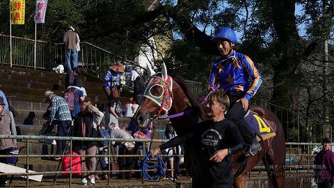 決勝「綾ダービー」フロンティア号
