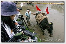 カメラにビニールをかぶせ完全防備の女性カメラマン　　御田祭（宮崎県美郷町）