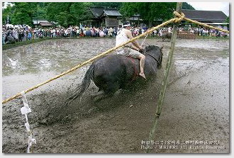 馬入れ　御田祭（宮崎県美郷町）