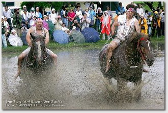 馬　御田祭（宮崎県美郷町）