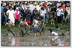 子供みこし　御田祭（宮崎県美郷町） 子供たちはみんなを幸せにしてくれる。　皆さんの表情見れば一目瞭然ですね。