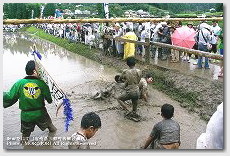 子供みこし　御田祭（宮崎県美郷町）