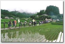 子供みこしを終え畦道を帰る子供たち　御田祭（宮崎県美郷町）　まつりのあとの・・・どこか少しさみしい感じも・・