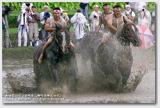 馬入れ　御田祭（宮崎県美郷町）