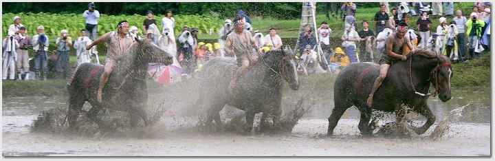 馬入れ　御田祭（宮崎県美郷町）