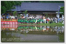 馬入れを待つ静かな神田　御田祭（宮崎県美郷町）