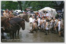 青年みこし　御田祭（宮崎県美郷町）