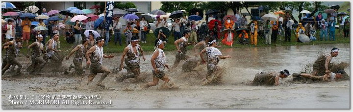 青年みこし　御田祭（宮崎県美郷町）