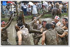 青年みこし　御田祭（宮崎県美郷町）