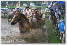 馬入れ　御田祭（宮崎県美郷町）