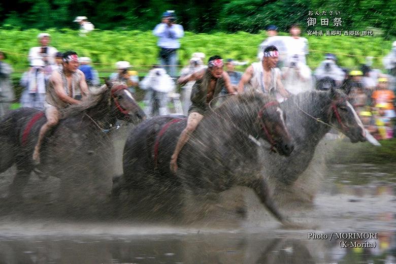 御田祭　牛馬入れ