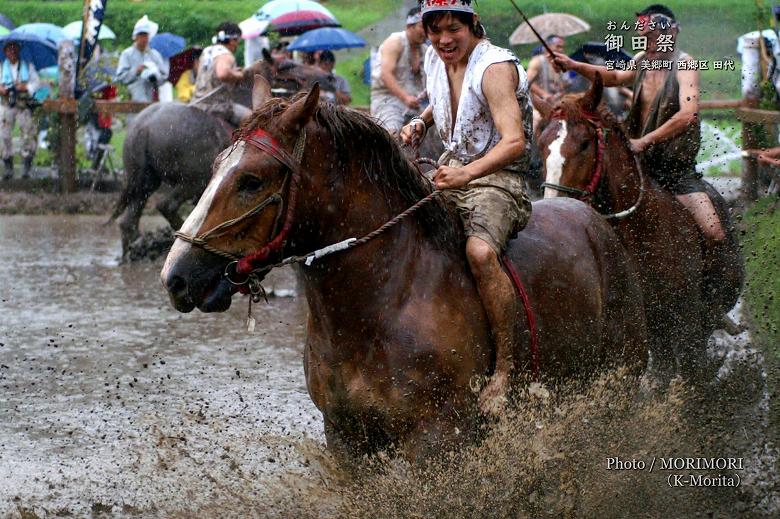 御田祭　牛馬入れ