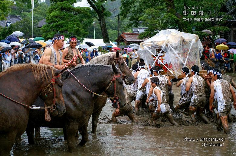 御田祭 青年御輿