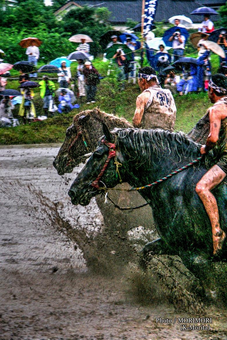 御田祭　牛馬入れ