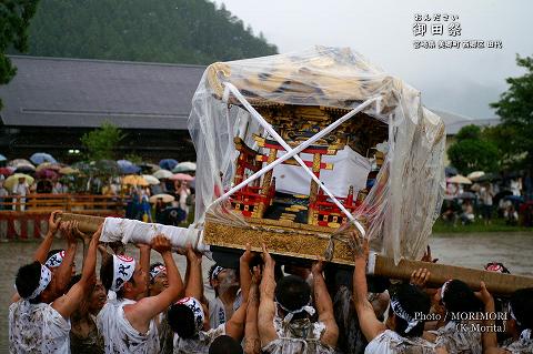 御田祭 青年御輿