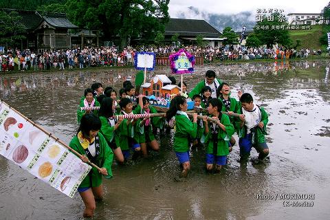 御田祭　子供御輿