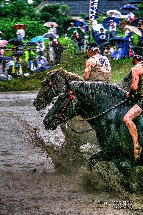 御田祭　牛馬入れ