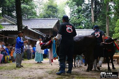 ����k�����_�� ���z��