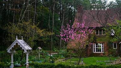 英国式庭園 コテージガーデン(Cottage garden)