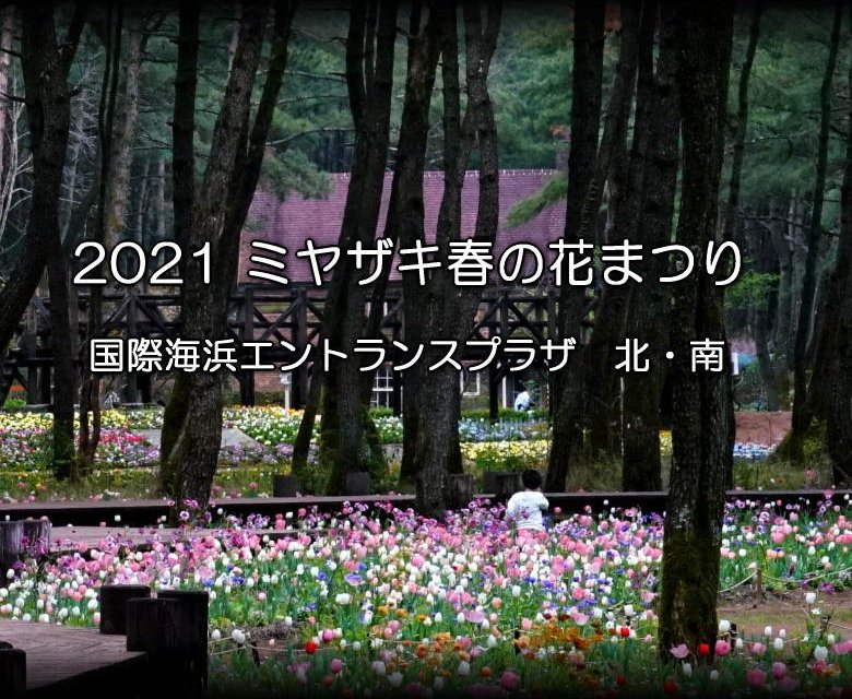 ミヤザキ春の花まつり 国際海浜エントランスプラザ