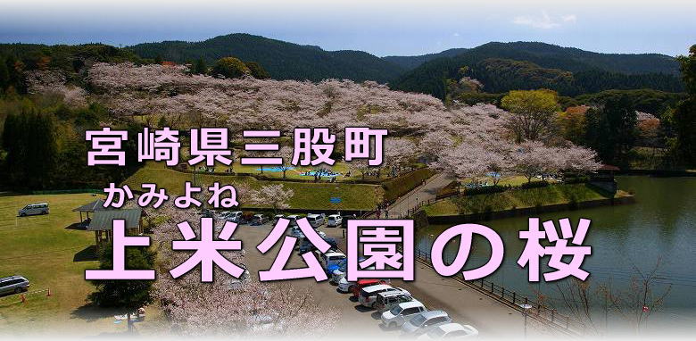 上米公園の桜（三股町）