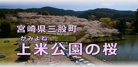 上米公園の桜（三股町）