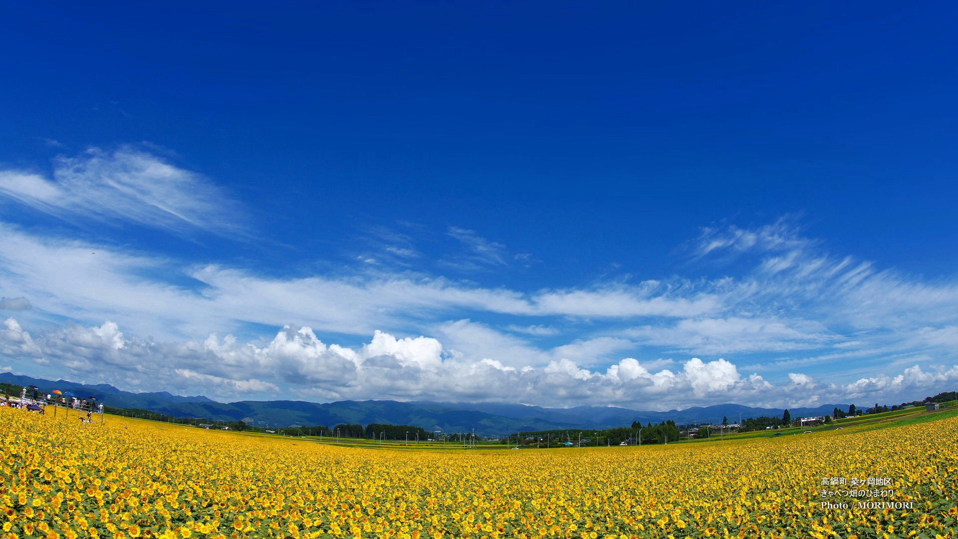 宮崎県道305号日置南高鍋線