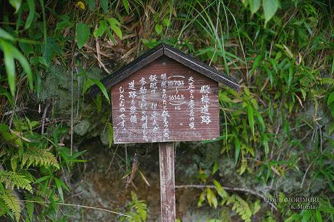 椿山森林公園「殿様道路」の説明板（2023年撮影）