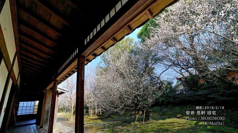 宮崎市 安井息軒旧宅の梅