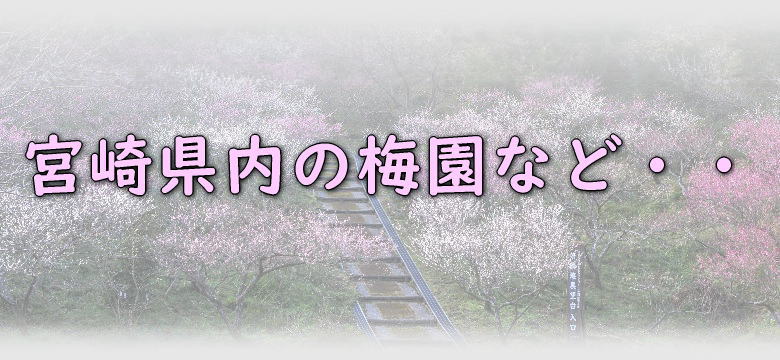 宮崎県内の梅園等