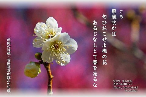 菅原道真が詠んだ和歌