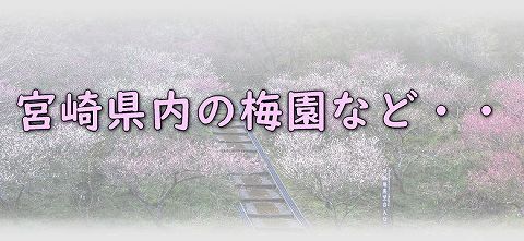 宮崎県内の梅園等
