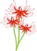 彼岸花