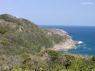 ■ 日向岬 クルスの海展望台付近より細島灯台方面をのぞむ 日向岬 クルスの海展望台付近より細島灯台方面をのぞむ