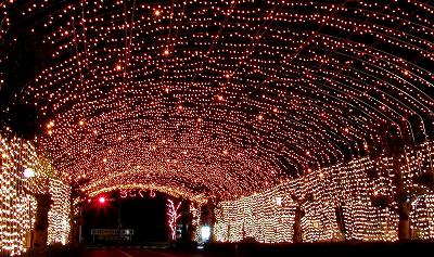 2004年宮崎県　国富町　イルミネーション　光のトンネル　２