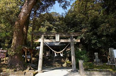 金崎神社　（宮崎市　鎮座）01