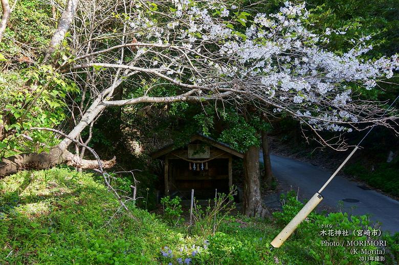 霊泉桜川