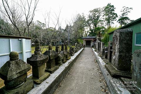 「法満寺」跡の石塔群