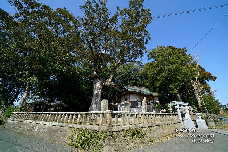 宮崎市 小松神社