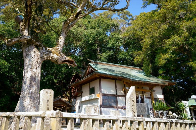 宮崎市 小松神社