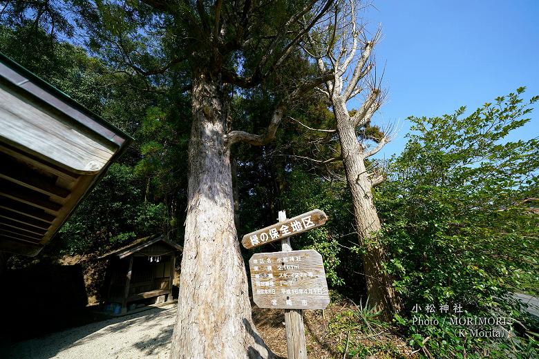 宮崎市 小松神社