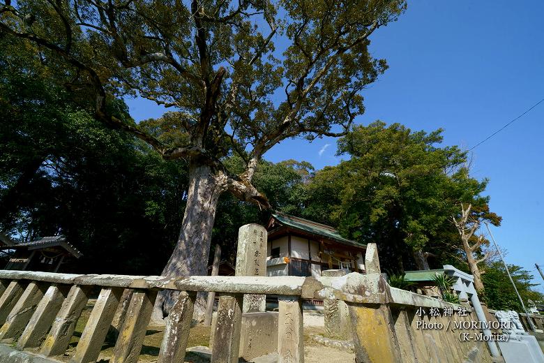 宮崎市 小松神社