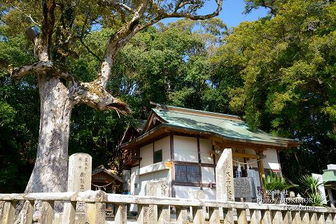 宮崎市 小松神社