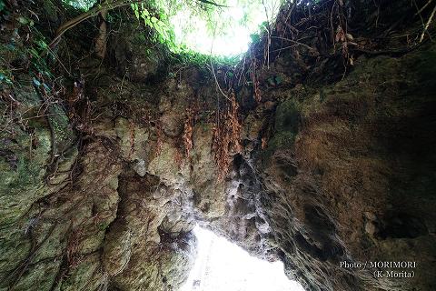 久家神社の化石群