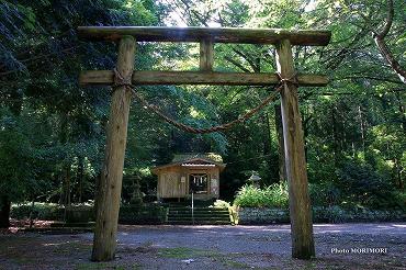 生達神社（そだつ神社）05　鳥居　宮崎県日南市　