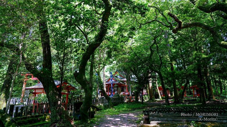 諏訪神社（国富町）