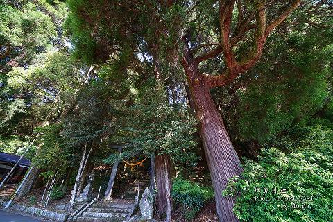 塚原(つかばる)神社